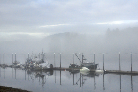 Melanie Heinrich Images - Alaska